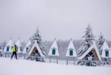 Photo of Хвост Феи: смена команд